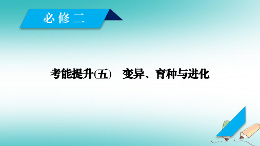 高考生物一轮总复习第三单元生物的变异、育种和进化考能提升5变异、育种与进化课件新人教版必修2