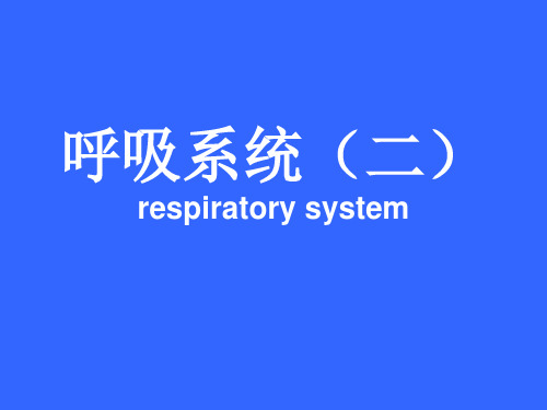 气管及主支气管