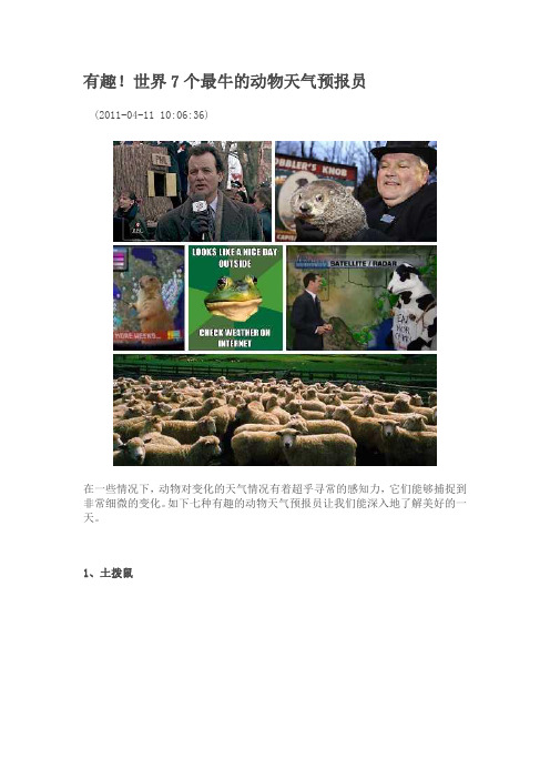 世界7个最牛的动物天气预报员