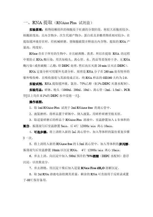 植物RNA提取步骤