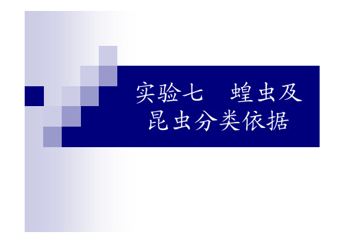 昆虫分类依据实验目的o通过对棉蝗的外形观察及内部解剖了解昆