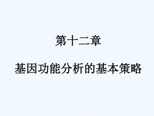 [医学]C12 基因功能分析的基本策略