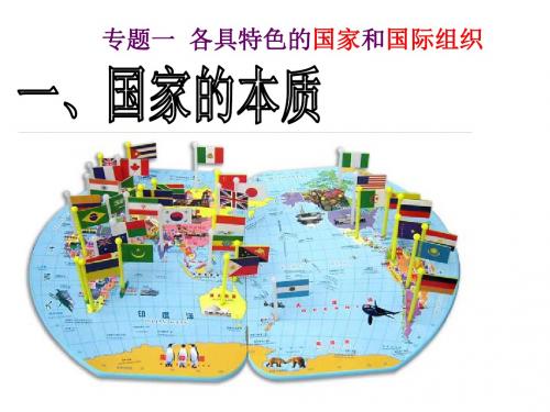 国家的本质 课件