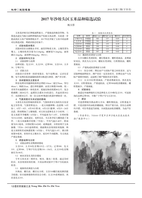 2017年沙坡头区玉米品种筛选试验