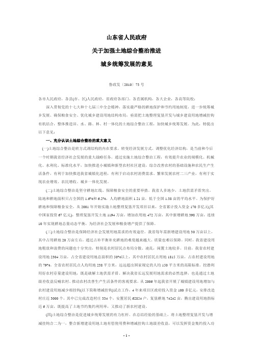 山东省人民政府土地综合整治文件