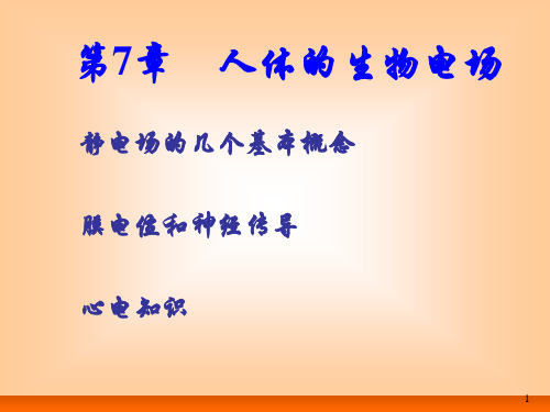 人体的生物电场