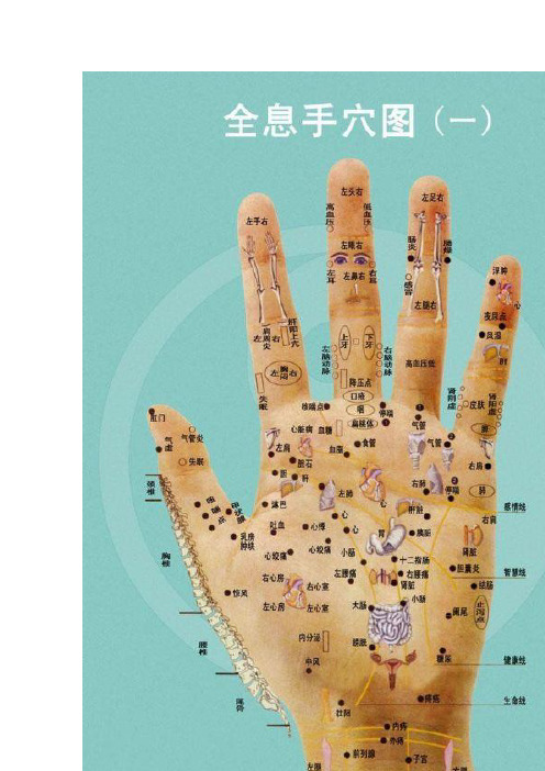 经脉与时辰配合表及全息手穴图