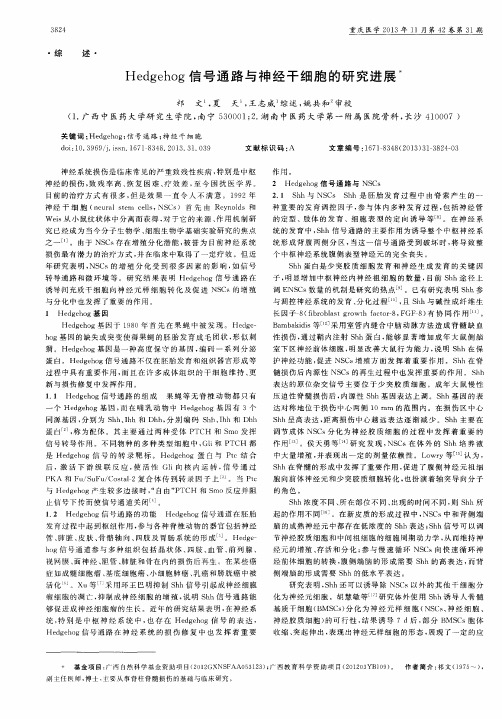 Hedgehog信号通路与神经干细胞的研究进展