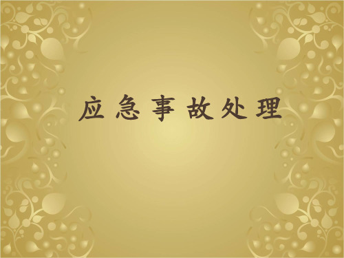 应急事故处理ppt课件