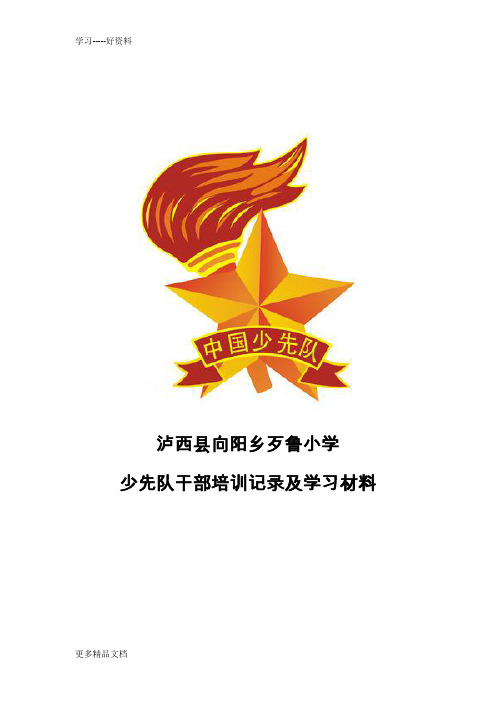 少先队干部培训记录汇编