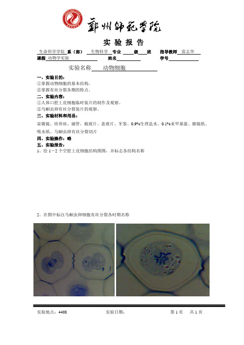 实验名称动物细胞