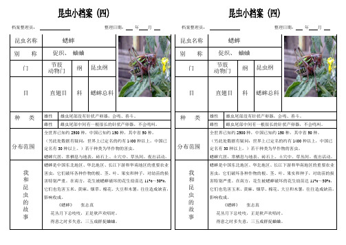 蟋蟀档案