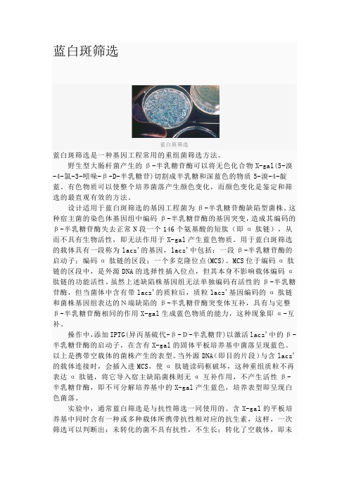 蓝白筛选原理