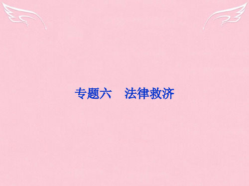 【浙江新高考】2016届高考政治总复习 专题六 法律救济课件 新人教版选修5