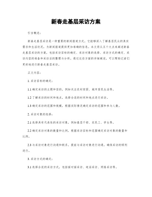 新春走基层采访方案
