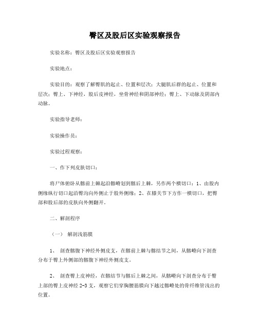 臀区及股后区观察报告