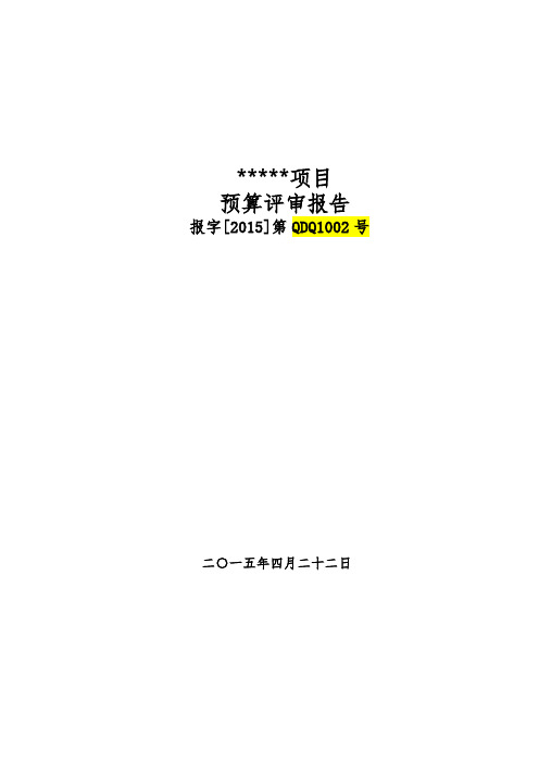 预算评审报告