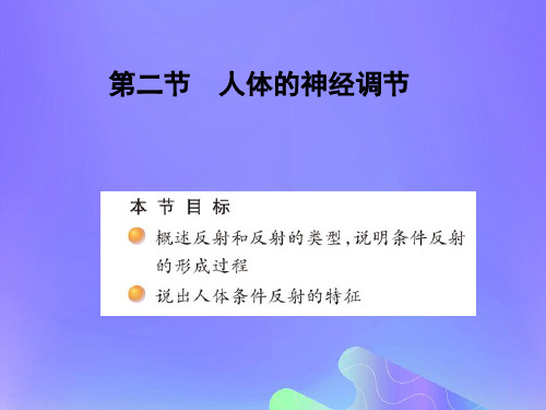 七年级生物下册第四单元生物圈中的人第十二章人体生命活动的调节第二节人体的神经调节课件1(新版)苏教版