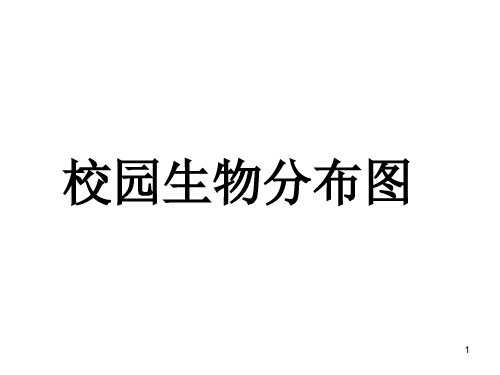 【精选】六年级上册科学课件-4.2校园生物分布图 ｜教科版  (共18张PPT)