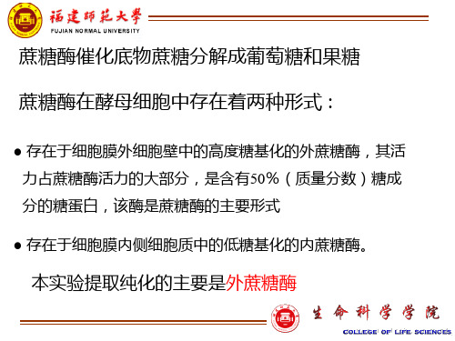 酵母蔗糖酶的提取分离纯化及其蛋白质浓和酶活力测定