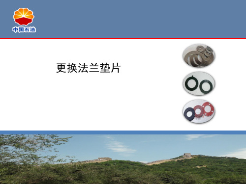 更换法兰垫片操作 (2)