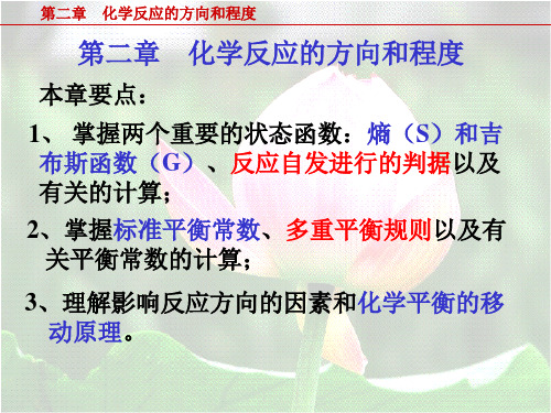 02第二章 化学反应的方向和程度