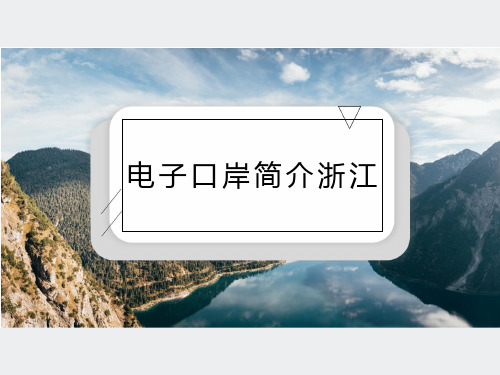 电子口岸简介浙江