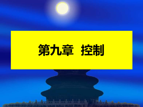 管理学控制篇.pptx