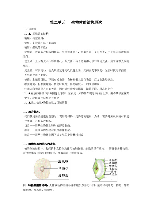 七年级生物上册 第二单元 生物体的结构层次知识点汇总