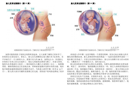 准妈妈第四月