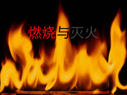 沪教版(上海)初中化学九年级第一学期4.1燃烧与灭火课件