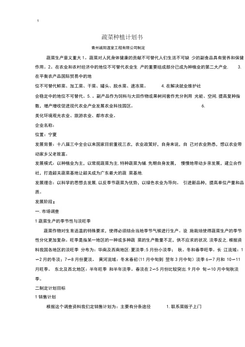 蔬菜种植计划书
