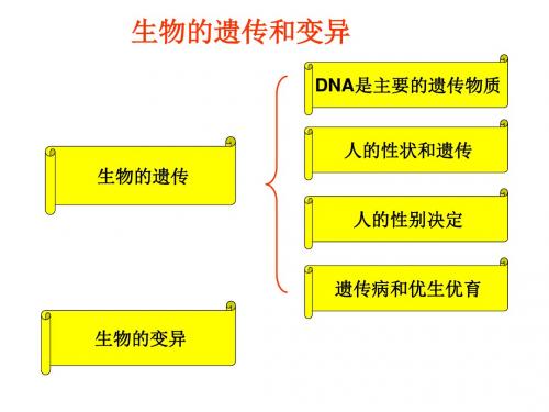 第十三讲遗传变异