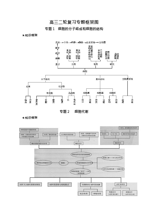 高三生物二轮复习专题框架图(可编辑修改word版)