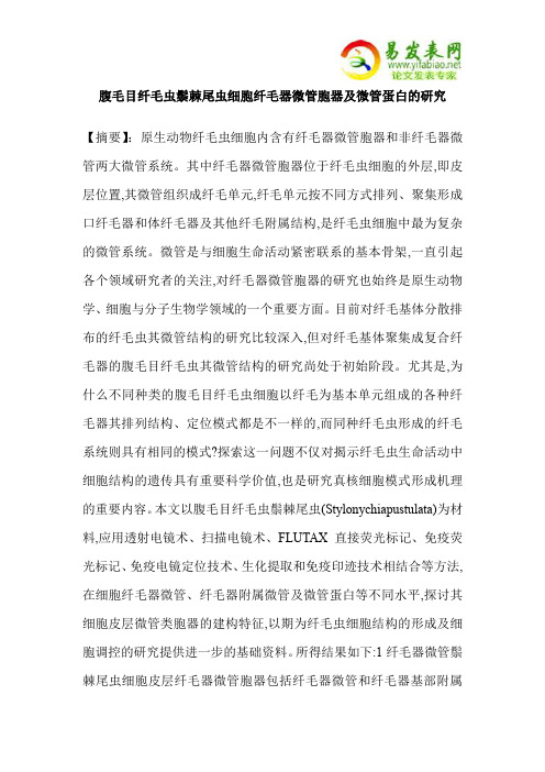 腹毛目纤毛虫鬃棘尾虫细胞纤毛器微管胞器及微管蛋白的研究