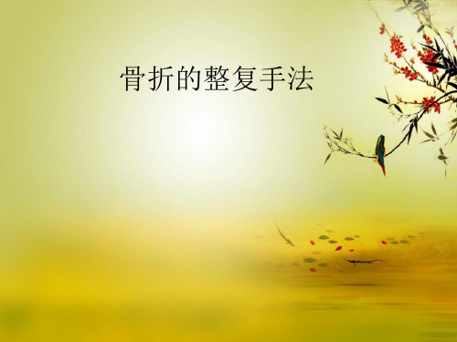 骨折的整复方法