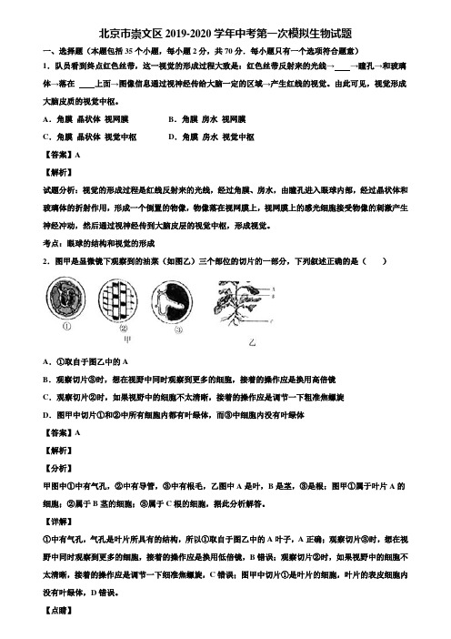 北京市崇文区2019-2020学年中考第一次模拟生物试题含解析