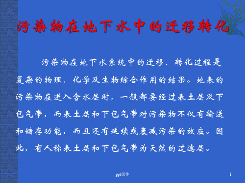 污染物在地下水系统中的迁移转化  ppt课件