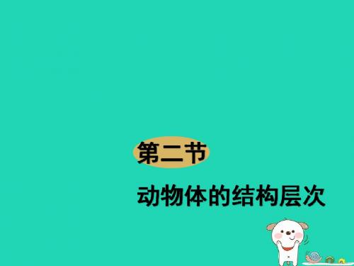 2.2.2《动物体的结构层次》课件17