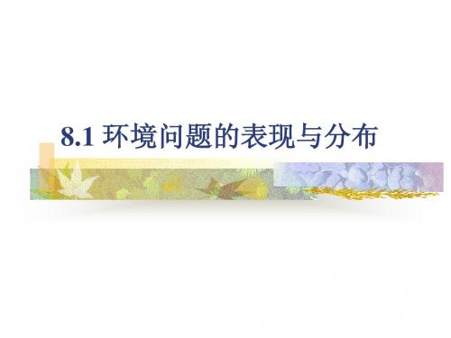 8.1 环境问题的表现与分布