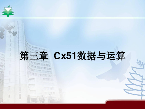 Cx51数据与运算