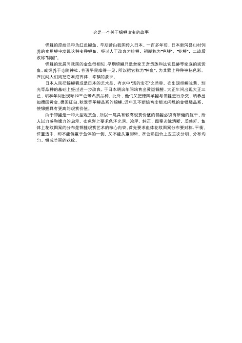 这是一个关于锦鲤演变的故事