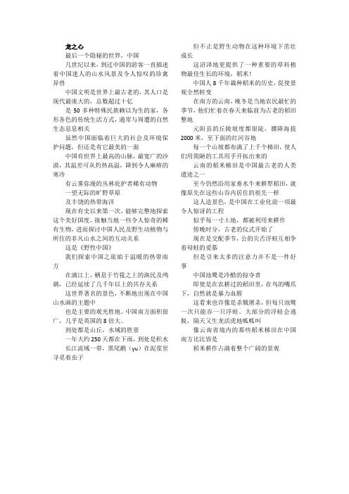 美丽中国中文翻译——龙之心