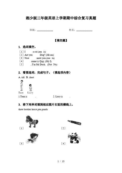 湘少版三年级英语上学期期中综合复习真题