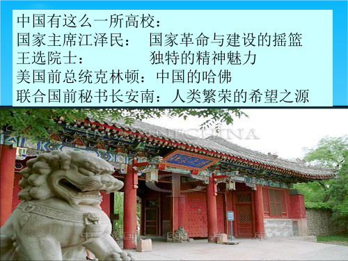 山东教师全员远程研修优秀作业 高中历史岳麓版必修三课件 第21课 新文化运动8