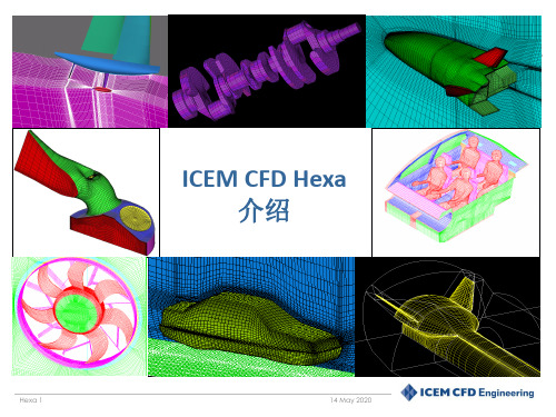 ICEM-CFD_Hexa介绍