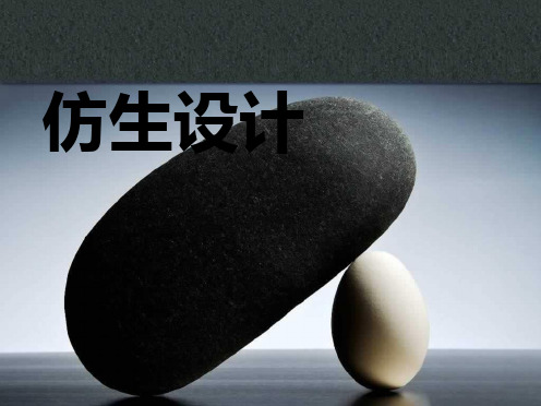 《仿生设计》PPT课件
