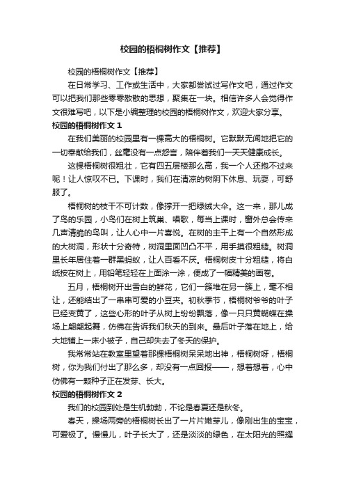 校园的梧桐树作文【推荐】