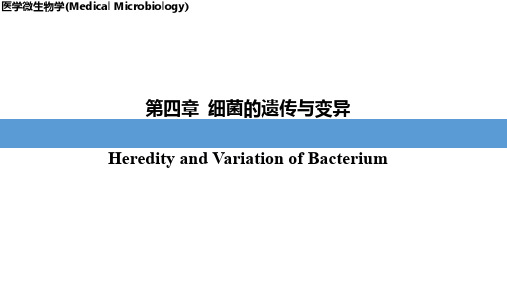 细菌常见的变异现象和变异类型