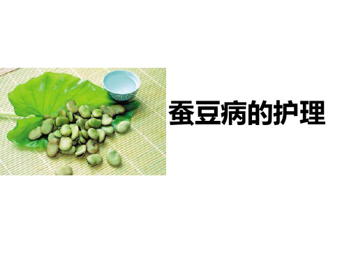 蚕豆病的护理